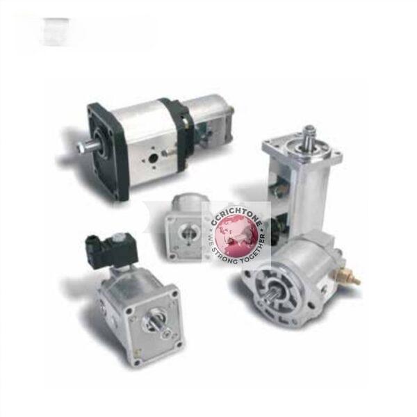 CASAPPA Gear Pump K.20-4 K.20*6,3K.20-8 K. 20*11,2 K.20-14 K.20-16 K. 20*20 K.20-25 K. 20-31,5 K.30-27 K.30-34 K.30-38 K.30-43 K.30-51 K.30*56 K.30*61 K.30*73