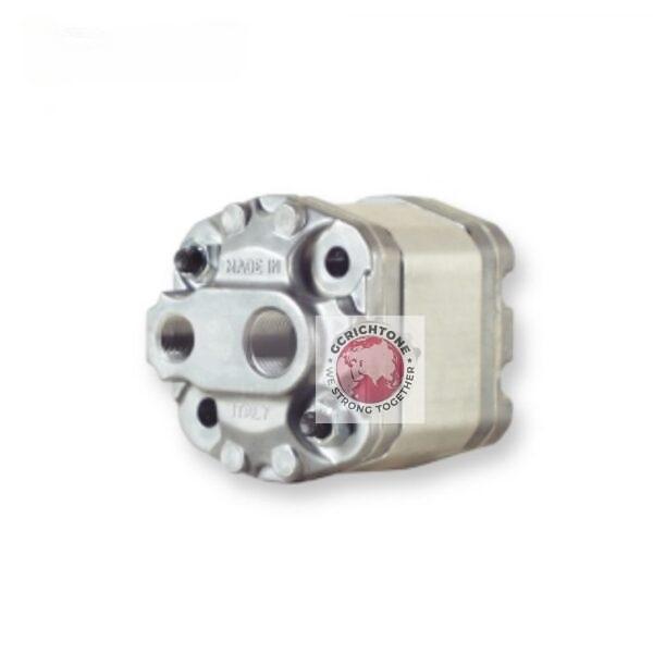 Hydraulic Gear Pump MARZOCCHI U 0.25 D 18 KA U 0.25 D 24 KA