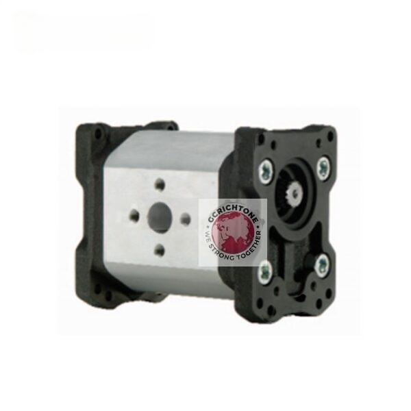 Gear Pump MARZOCCHI ALP4-D-190 ALP4-D-190-S0 ALP4A-D-190 ALP4-0-130 ALP4-D-160 ALP4-0-190 ALP4-0-220 ALP4-0-250